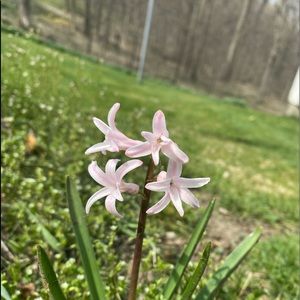 Meet your Posher, Morgan